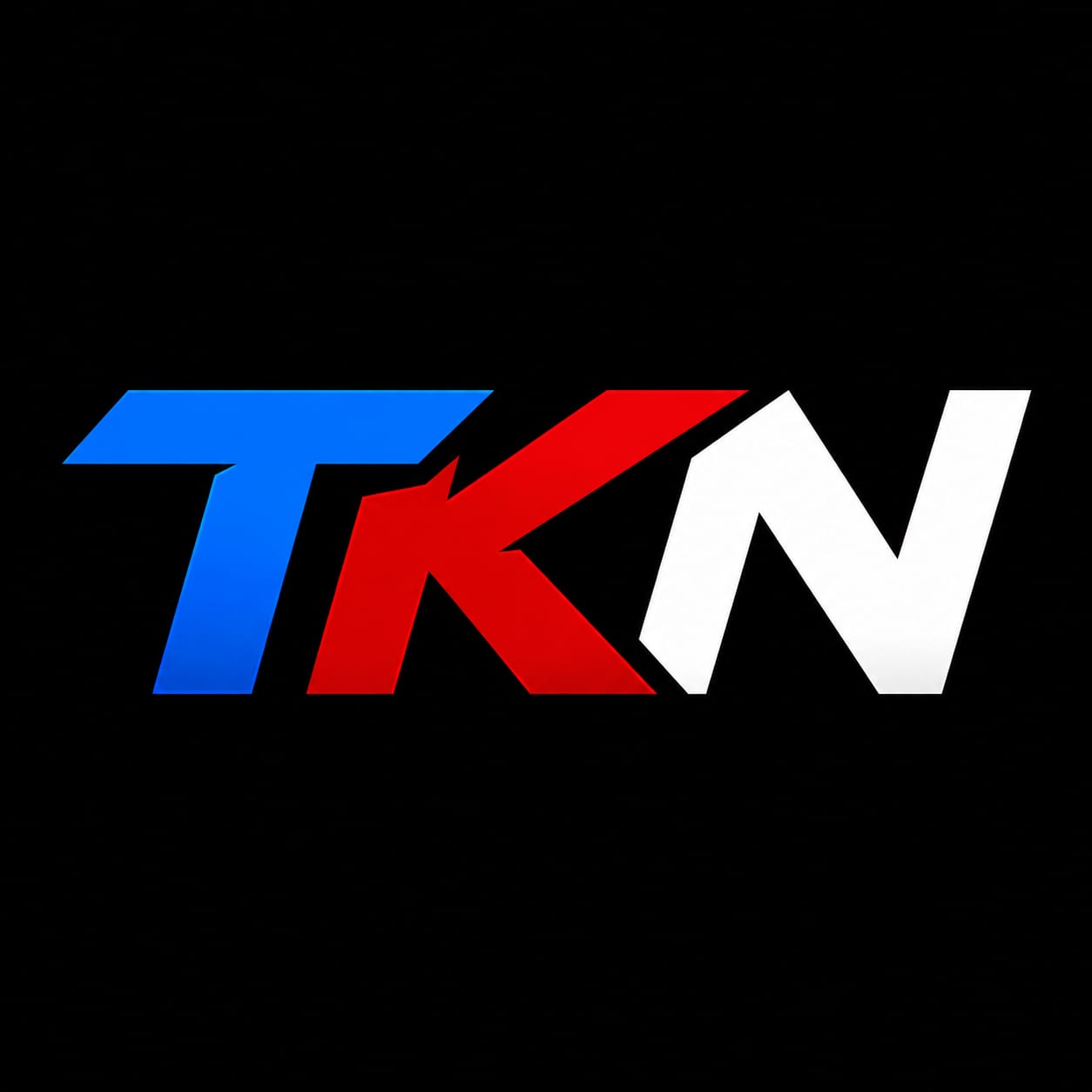 TKN Experts logo